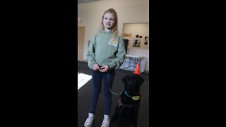 Training service dogs for kids with autism