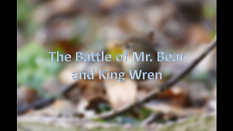 The Battle of Mr. Bear and King Wren