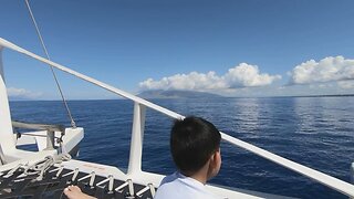 Whale watching in Maui Hawaii