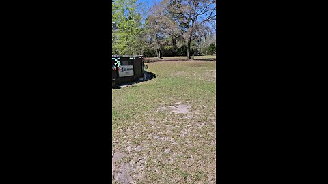 tree pollen with a crazy cat wanting Attention 💕😆