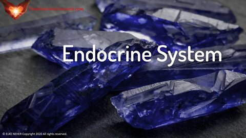Endocrine Boost - Endocrine Diseases Supportive Energetic/Frequency Healing Meditation Music