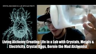 Living Alchemy, Creating Life in a Lab with Crystals, Metals & Electricity, Crystal Bugs, Bernie