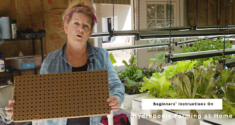 SalScilla Farms' Owner Gives Beginners' Instructions on Hydroponic Farming at Home