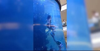 Moment shopping mall mermaid struggles for air as tail is caught during aquarium show