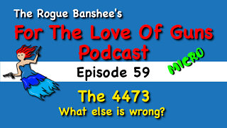 Is the 4473 Racist? - Episode 59 For The Love Of Guns
