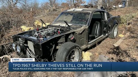 Rare Shelby Mustang thieves still on the run, Tulsa police say