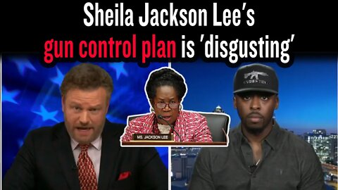 Sheila Jackson Lee's gun control plan is 'disgusting'