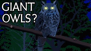 Giant Owls in Canada?