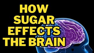 Scary how sugar effects the brain