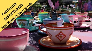California Disneyland Mad Hatter’s Teacup ride