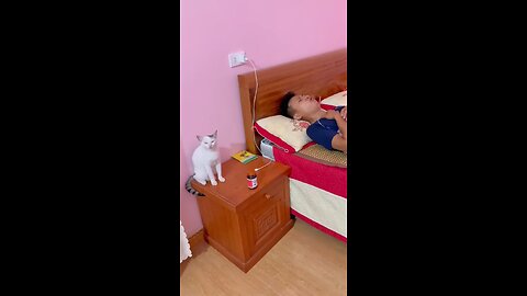 smart cat #cats #cat #catvideos #shorts.mp4