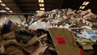 America Recycles Day: Experts say it's not hard to recycle