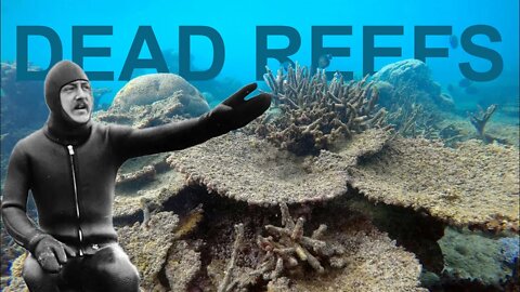 CORAL REEFS ARE DYING!!!! (hyperbole)