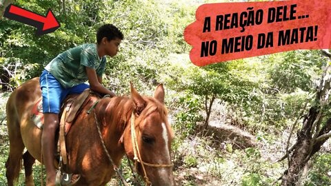 OLHA A REAÇÃO DESSE MENINO AO ENTRAR NA MATA COM VAQUEIRO PO