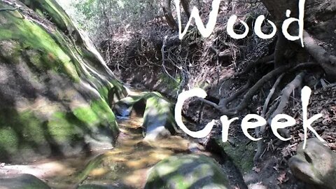 Wood Creek May 27 2020