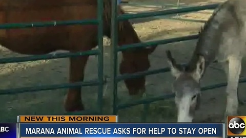 Marana Animal Rescue asking for help to stay open