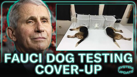 Dr. Fauci's Dog Experiment Cover-Up: EXPLAINED by Reporter Leighton Woodhouse