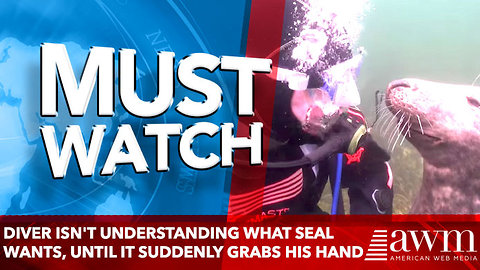 Diver Isn't Understanding What Seal Wants, Until It Suddenly Grabs His Hand