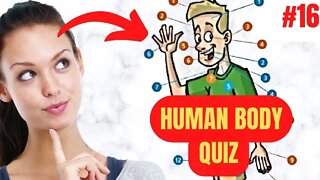 10 Questions about THE HUMAN BODY in 5 Minutes QUIZ #16