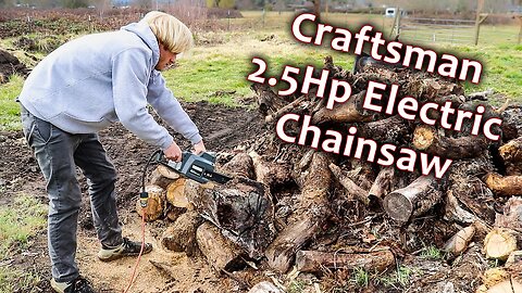 Reviving an Old Craftsman 2.5Hp Electric Chainsaw | It's Greasy! |