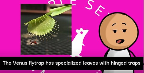 Astonishing Facts About Venus Flytraps Revealed