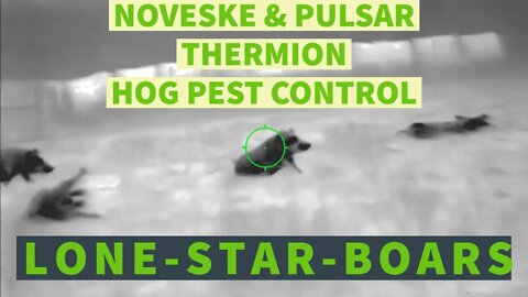 TEXAS FERAL HOG PEST CONTROL NOVESKE N6 WITH THERMION XP50