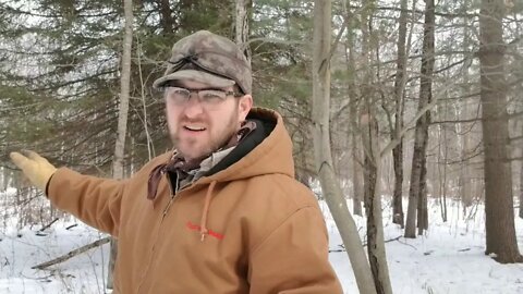 #60 Winter Scouting read your property. Landscaping for Whitetails