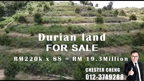 Durian Land *FOR SALE*
