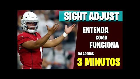 SIGHT AJUST: UMA FORMA DO ATAQUE BATER A BLITZ E PUNIR AS DEFESAS - MELHORES MOMENTOS DA NFL