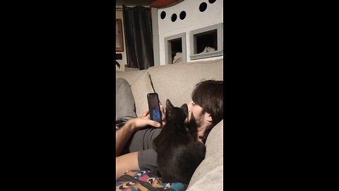 Mew Mew and Daddy watching social media together