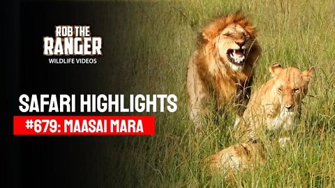Safari Highlights #679: 26 & 28 March 2022 | Lalashe Maasai Mara | Latest Wildlife Sightings