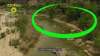 Close Encounter With a Bird Over the Medina River @ Mustang Crossing HOA