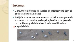 08 - Inteligência de Enxames - Computação Inspirada pela Natureza