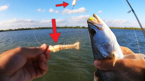 How to catch Trout in the Florida Keys {catch and cook}