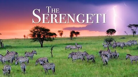 Serengeti and its strength and beauty