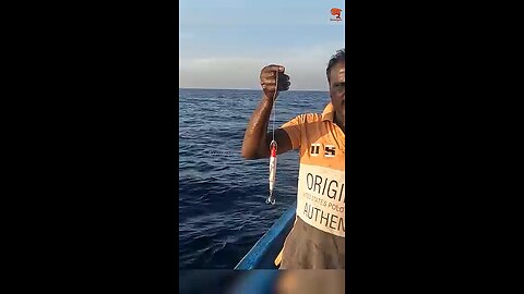 Sea fish catching vedio