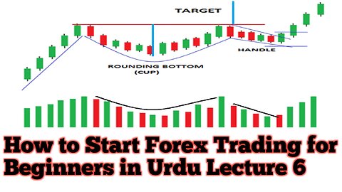 How to Start Forex Trading for Beginners in Urdu Part 6