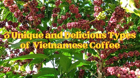 3 Unique and Delicious Types of Vietnamese Coffee