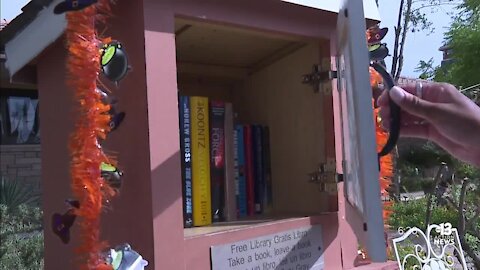 Mini Libraries: downsizing the library to the size of a mailbox