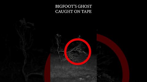 is this BIGFOOT'S GHOST?👣👻 (look closely) #bigfoot #bigfootsghost