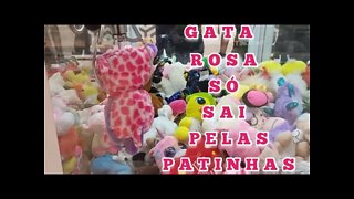 TIRANDO A GATINHA ROSA PELAS PATINHAS 😻👏👏👏😻