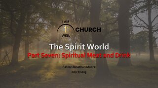 I AM WELL Church Sermon #11 "The Spirit World" (Part 7 "Spiritual Meat and Drink") 08/27/2023