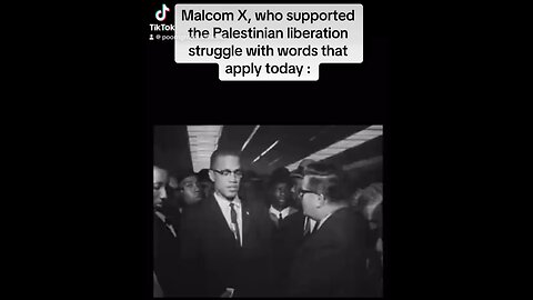 Malcolm X is teaching us how to handle Palestinian question🇵🇸