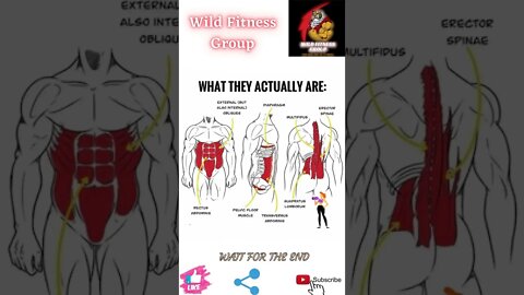🔥What are these body parts🔥#shorts🔥#wildfitnessgroup🔥23 June 2022🔥