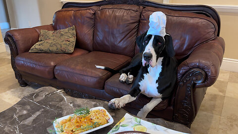 Great Dane forgets her table manners with tasty mac & cheese