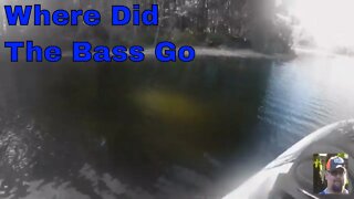 Where Did the Bass Go