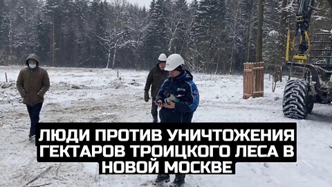 Люди против уничтожения гектаров Троицкого леса в Новой Москве