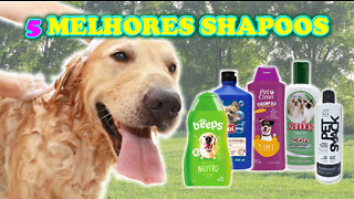 5 Melhores Shampoos Para Cachorro