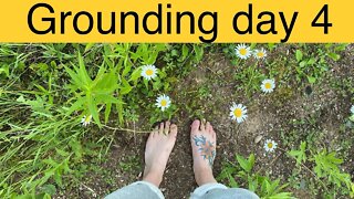 Grounding day 4- a walk in the tall grass