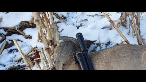 AEA hp max 357 first deer